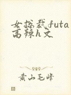 女总裁futa高辣h文封面