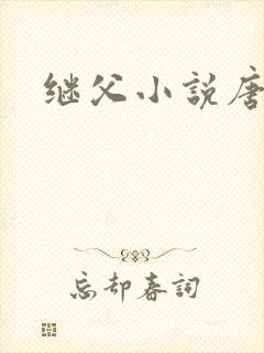 继父小说唐舒
