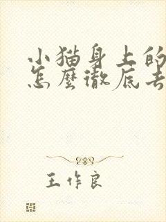小猫身上的跳蚤怎么彻底去除