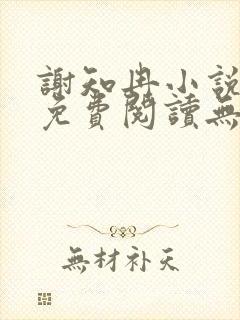 谢知冉小说全文免费阅读无弹窗封面