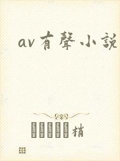 av有声小说