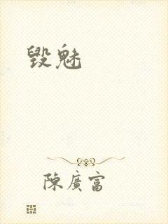 毁魅封面