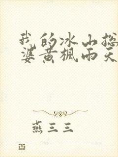 我的冰山总裁老婆黄枫雨天