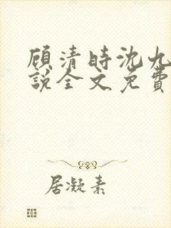 顾清时沈九笙小说全文免费阅读全文封面
