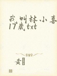 我叫林小喜今年17岁txt