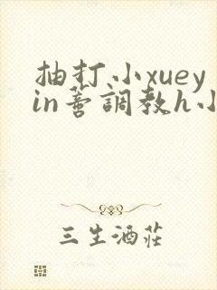 抽打小xueyin蒂调教h小说