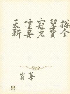 天价宠儿总裁的新妻免费全文阅读