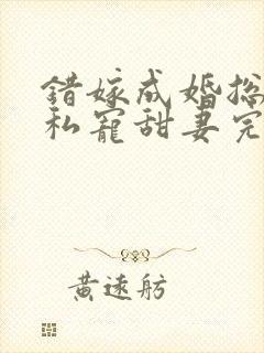错嫁成婚总裁的私宠甜妻完整版