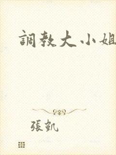 调教大小姐封面