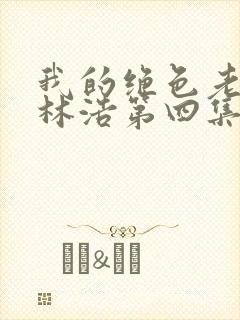 我的绝色老板娘林浩第四集封面