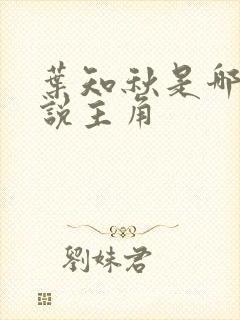 叶知秋是哪本小说主角封面