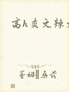高h爽文辣文