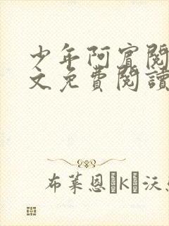 少年阿宾阅读全文免费阅读最新章节