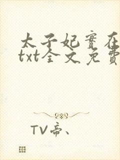 太子妃实在美丽txt全文免费阅读封面