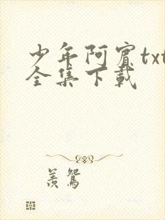 少年阿宾txt全集下载封面