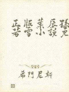 正版叶辰孙怡夏若雪小说免费阅读
