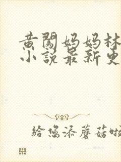 黄闯妈妈林敏贞小说最新更新章节列