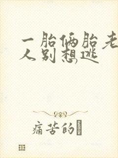 一胎俩胎老婆大人别想逃