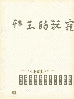 邪王的玩宠
