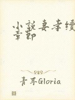 小说妻孝续最新章节封面