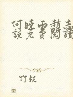 何晓雨赵志远小说免费阅读无弹窗封面