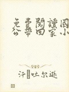 免费阅读国民老公带回家小说