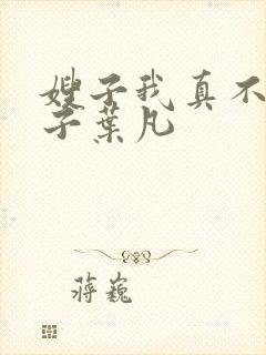 嫂子我真不是傻子叶凡