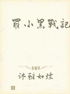 罗小黑战记小说封面