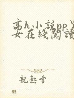 高h小说np男女在线阅读