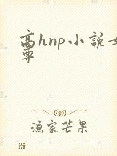 高hnp小说女尊