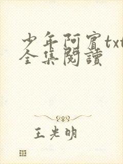 少年阿宾txt全集阅读封面