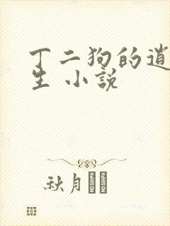 丁二狗的逍遥人生 小说