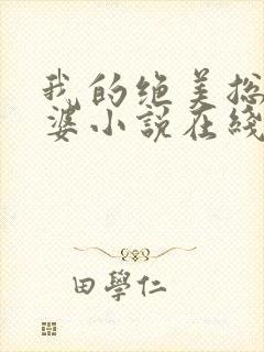 我的绝美总裁老婆小说在线阅读