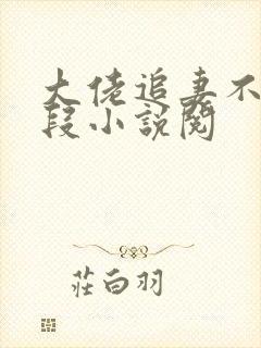 大佬追妻不择手段小说阅