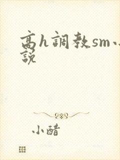高h调教sm小说封面