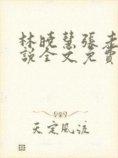 林晓慧张老头小说全文免费阅读最新