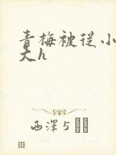 青梅被从小摸到大h封面