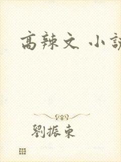 高辣文 小说