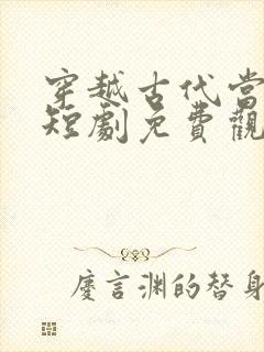 穿越古代当家丁短剧免费观看封面