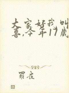 大家好我叫林小喜,今年17岁全文阅读
