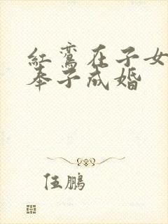 红鸾在子女宫 奉子成婚