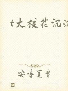 t大校花沉沦封面