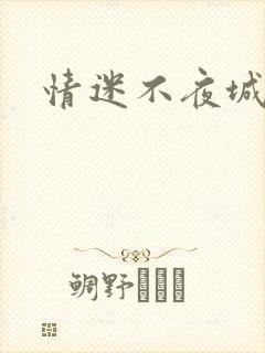 情迷不夜城封面