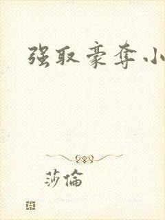 强取豪夺小说