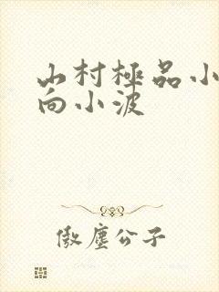 山村极品小神医向小波