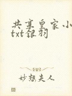 共享皇家小公主txt银羽