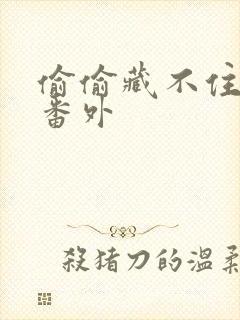 偷偷藏不住新婚番外