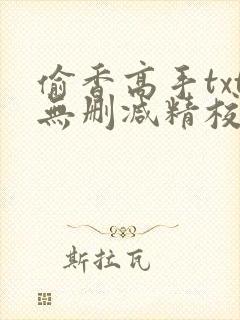 偷香高手txt无删减精校版