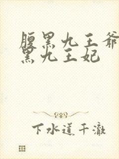 腹黑九王爷的腹黑九王妃