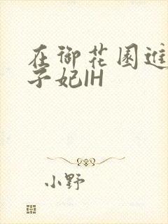 在御花园进入太子妃IH